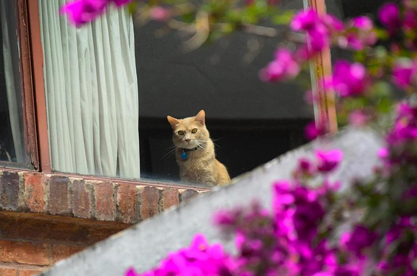 Hostal La Pinta Bogotá Dış mekan fotoğraf